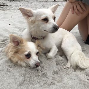 Meet your Posher, Nate